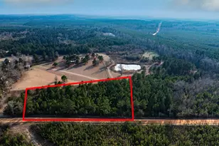 5 26+/- Acres Joyner Oglesby Rd, Sardis, GA 30456 - Photo 1