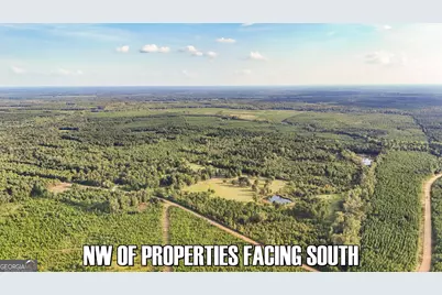 5.26+/- Acres Joyner Oglesby Road LOT #2, Sardis, GA 30456 - Photo 9