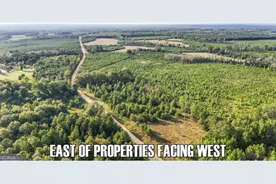 5.16+/- Acres Joyner Oglesby Road LOT #3, Sardis, GA 30456 - Photo 11