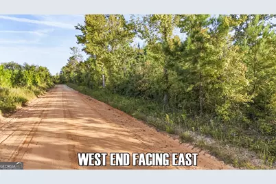 5.16+/- Acres Joyner Oglesby Road LOT #3, Sardis, GA 30456 - Photo 13