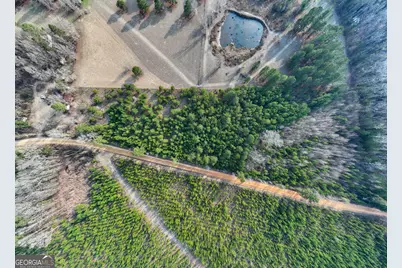 5.22+/- Acres Joyner Oglesby Road LOT #4, Sardis, GA 30456 - Photo 5