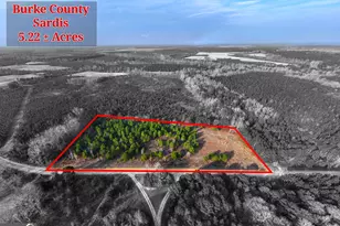 5 22+/- Acres Joyner Oglesby Rd, Sardis, GA 30456 - Photo 1