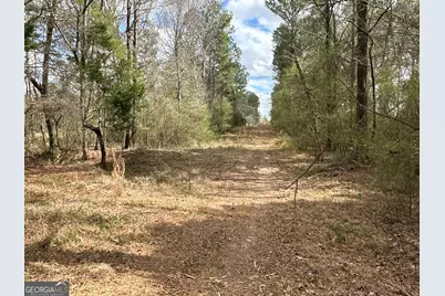 0 Popham Road #TRACT 3, Taylorsville, GA 30178 - Photo 23