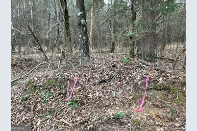 0 Popham Road #TRACT 3, Taylorsville, GA 30178 - Photo 11