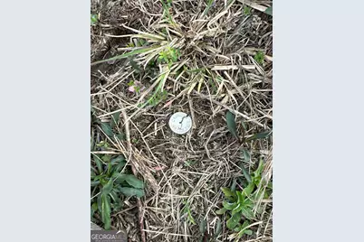 0 Popham Road #TRACT 3, Taylorsville, GA 30178 - Photo 25