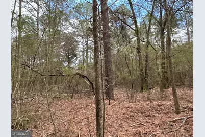 0 Popham Road #TRACT 3, Taylorsville, GA 30178 - Photo 3