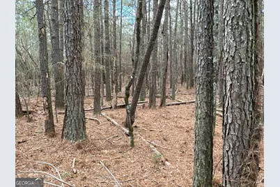 0 Popham Road #TRACT 3, Taylorsville, GA 30178 - Photo 5