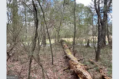 0 Popham Road #TRACT 3, Taylorsville, GA 30178 - Photo 7