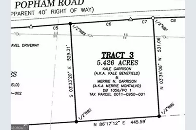 0 Popham Road #TRACT 3, Taylorsville, GA 30178 - Photo 9