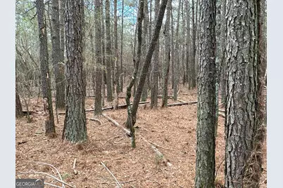 0 Popham Road #TRACT 3, Taylorsville, GA 30178 - Photo 19