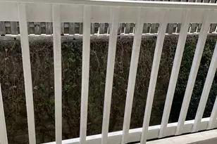 1015 Holly Dr, Gainesville, GA 30501 - Photo 17