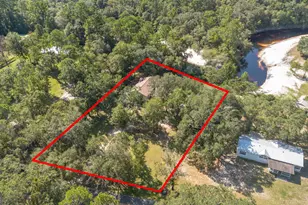 323 St Marys River Bluff Rd, Saint George, GA 31562 - Photo 39