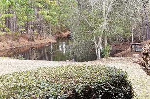 1851 I G Lanier Rd, Pembroke, GA 31321 - Photo 13