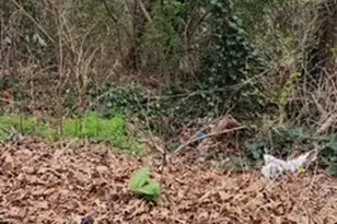 605 Warren Ave, Scottdale, GA 30079 - Photo 1