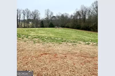 316 Bar Rod Road, Demorest, GA 30535 - Photo 11