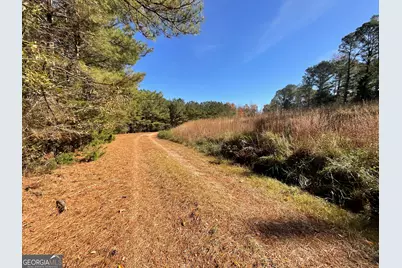 501 Raleigh Road, Woodbury, GA 30293 - Photo 47