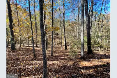 501 Raleigh Road, Woodbury, GA 30293 - Photo 63