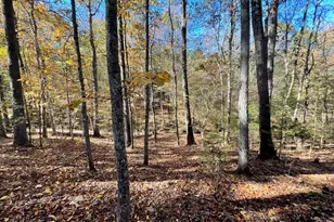 501 Raleigh Rd, Woodbury, GA 30293 - Photo 63