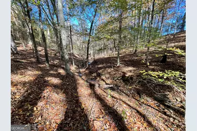 501 Raleigh Road, Woodbury, GA 30293 - Photo 53