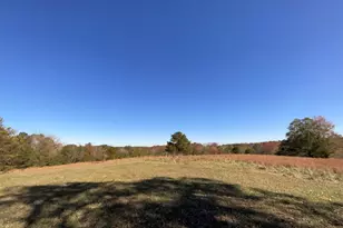 501 Raleigh Rd, Woodbury, GA 30293 - Photo 87