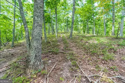 0 E Hermitage Road NE #LOT 6, Rome, GA 30161 - Photo 25