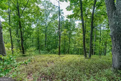 0 E Hermitage Road NE #LOT 6, Rome, GA 30161 - Photo 31