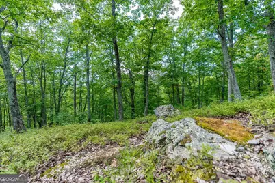 0 E Hermitage Road NE #LOT 6, Rome, GA 30161 - Photo 29