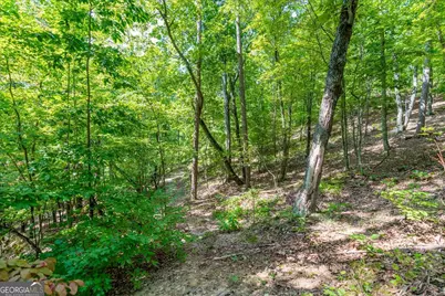 0 E Hermitage Road NE #LOT 6, Rome, GA 30161 - Photo 23