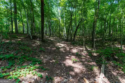 0 E Hermitage Road NE #LOT 6, Rome, GA 30161 - Photo 9