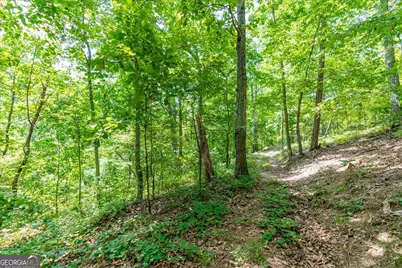 0 E Hermitage Road NE #LOT 6, Rome, GA 30161 - Photo 21