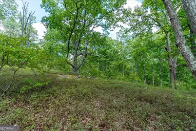 0 E Hermitage Road NE #LOT 6, Rome, GA 30161 - Photo 35