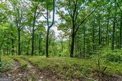 0 E Hermitage Road NE #LOT 6, Rome, GA 30161 - Photo 33