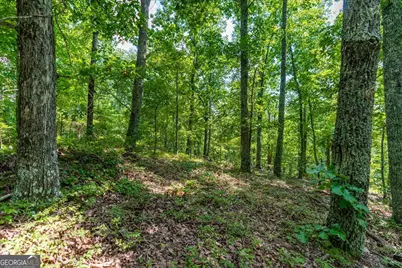 0 E Hermitage Road NE #LOT 6, Rome, GA 30161 - Photo 19