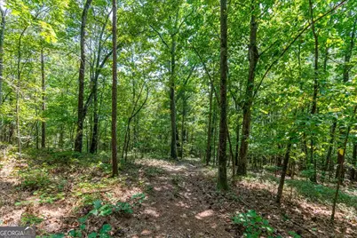 0 E Hermitage Road NE #LOT 6, Rome, GA 30161 - Photo 15