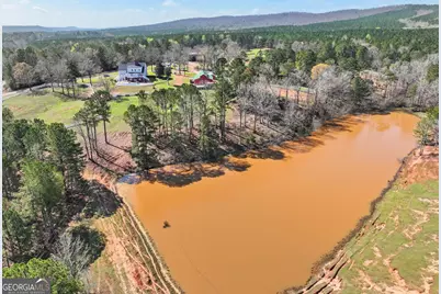 1687 Turkey Creek Road, Thomaston, GA 30286 - Photo 85