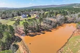 1687 Turkey Creek Rd, Thomaston, GA 30286 - Photo 85