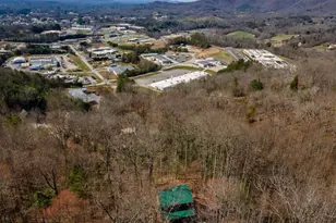 257 Aj's Holler, Blairsville, GA 30512 - Photo 61