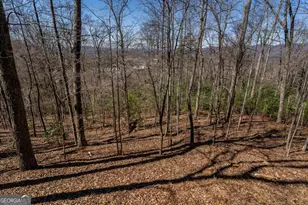 257 Aj's Holler, Blairsville, GA 30512 - Photo 53