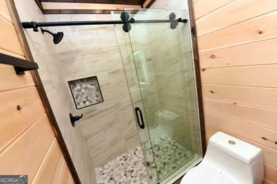 391 Crabapple Lane, Mineral Bluff, GA 30559 - Photo 49