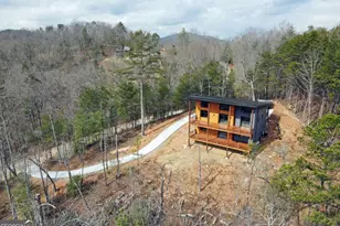 391 Crabapple Ln, Mineral Bluff, GA 30559 - Photo 11