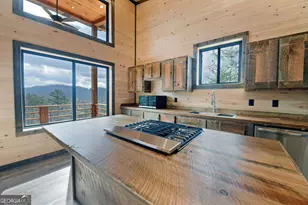 391 Crabapple Ln, Mineral Bluff, GA 30559 - Photo 25