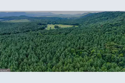 Tract 3 Back Valley Road, Lyerly, GA 30730 - Photo 3