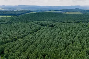 Tract 3 Back Valley Rd, Lyerly, GA 30730 - Photo 1