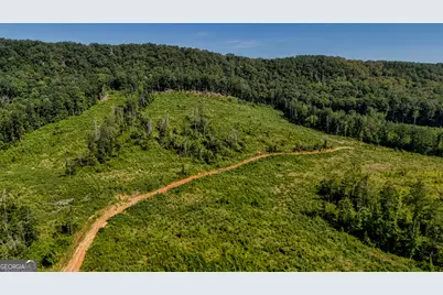 Tract 1 Back Valley Road, Lyerly, GA 30730 - Photo 9