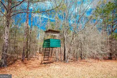 1215 Guillebeau Road, Lincolnton, GA 30817 - Photo 27