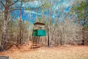 1215 Guillebeau Rd, Lincolnton, GA 30817 - Photo 27