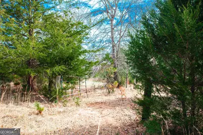 1215 Guillebeau Road, Lincolnton, GA 30817 - Photo 29