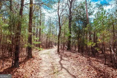 1215 Guillebeau Road, Lincolnton, GA 30817 - Photo 25