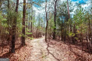 1215 Guillebeau Rd, Lincolnton, GA 30817 - Photo 25