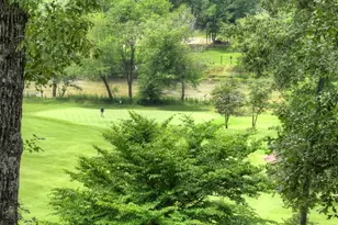 658 Old Toccoa Loop, Mineral Bluff, GA 30559 - Photo 61